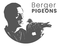 BergerPigeons NEU