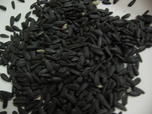 Sonnenblumenkerne schwarz 15kg Versele-Laga
