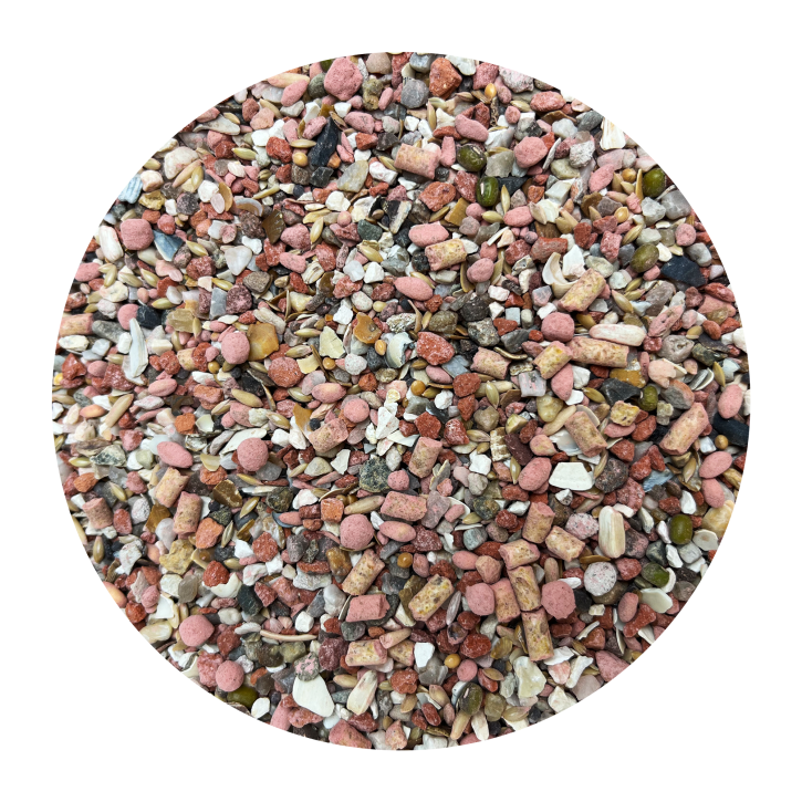 Sandeck Pasch Multi Mix Mineral 50x20kg frei Haus!