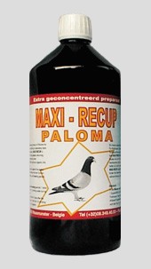Paloma Maxi Recup 1L
