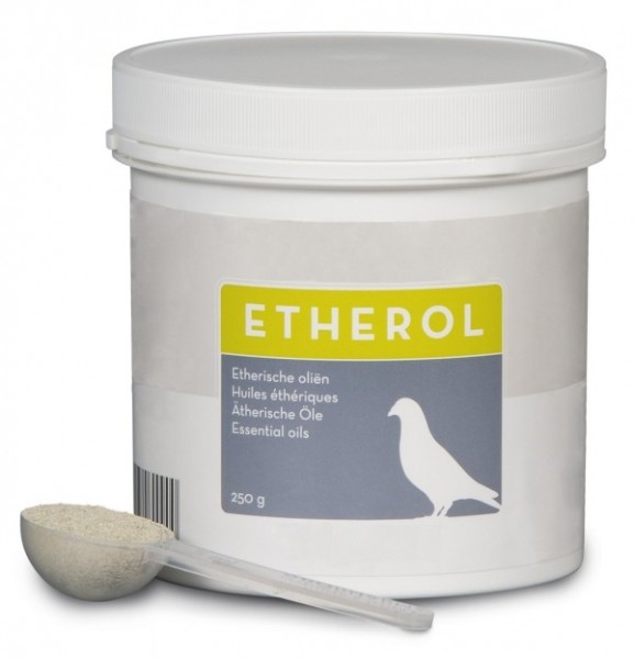 Etherol Hirn 200g ätherische Öle