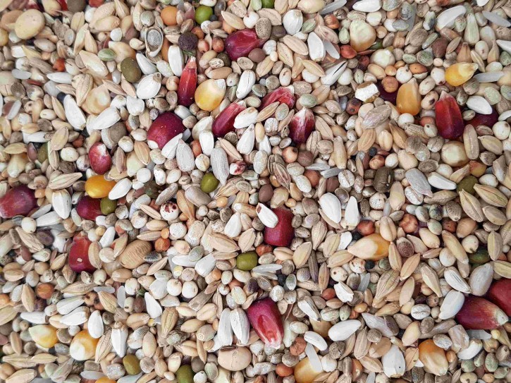 AIDI Girl Power 20kg (ab Februar lieferbar)