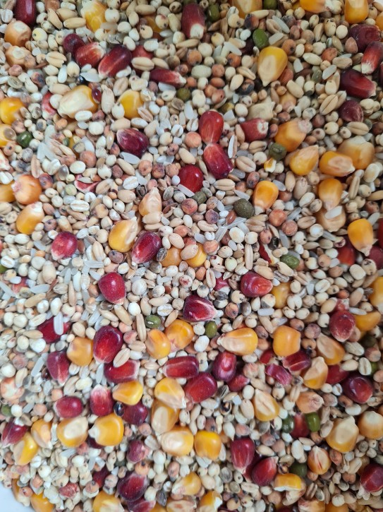 AIDI Speedy Sprint Mix 20kg (ab Februar lieferbar)