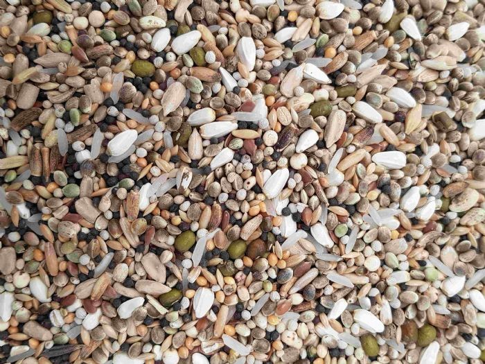 AIDI Extra Power (Sämereien) 20kg