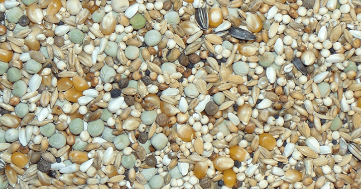 Paloma Mauser Olympia Power D37 27,5kg PROMO (kleinkörnig)