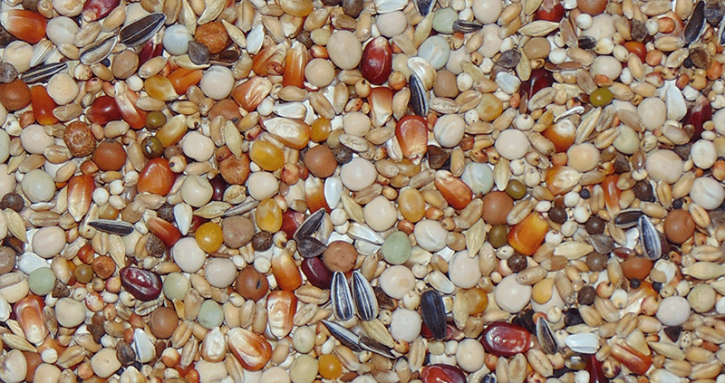 Paloma Mauser Tip Top D69 27,5kg PROMO