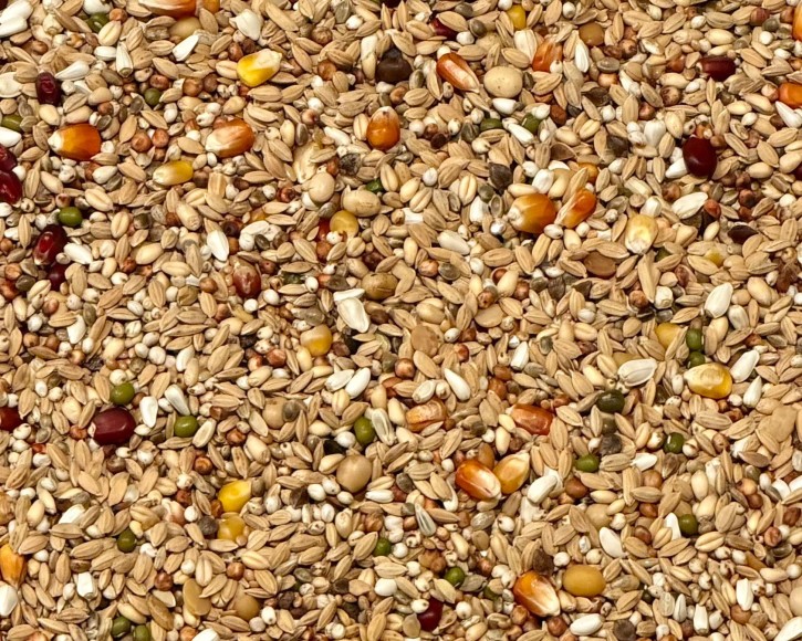 VANROBAEYS F1 Recovery/ Flight Force Nr.901 NEU 20kg