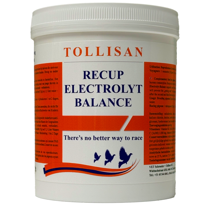 Tollisan Recup Elektrolyt Balance 500g Tollisan Recup Elektrolyt Balance 500g