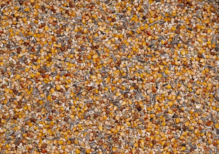 BEYERS Jungtauben Original 25kg PROMO