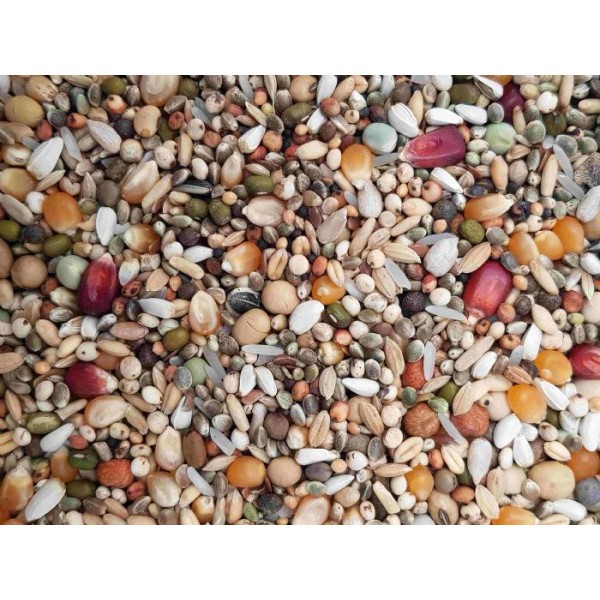 AIDI Super Zucht 20kg NEU