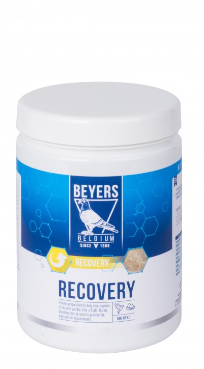 Beyers Recovery 600g