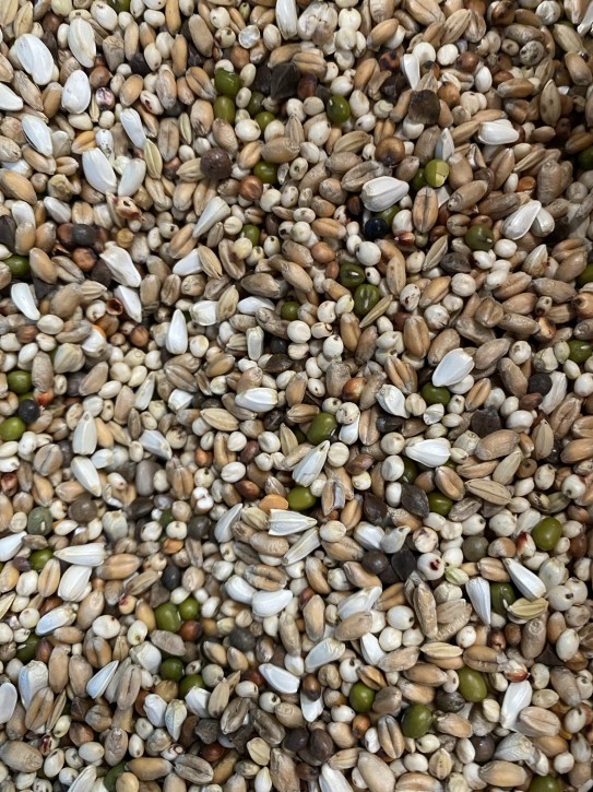 Ballau Rassetauben-Mischung 25kg