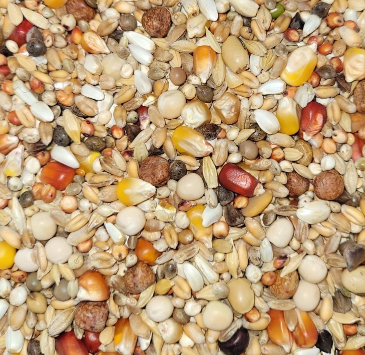 Paloma Mauser Premium Extra D58 27,5kg PROMO Paloma Mauser Premium Extra D58 27,5kg PROMO