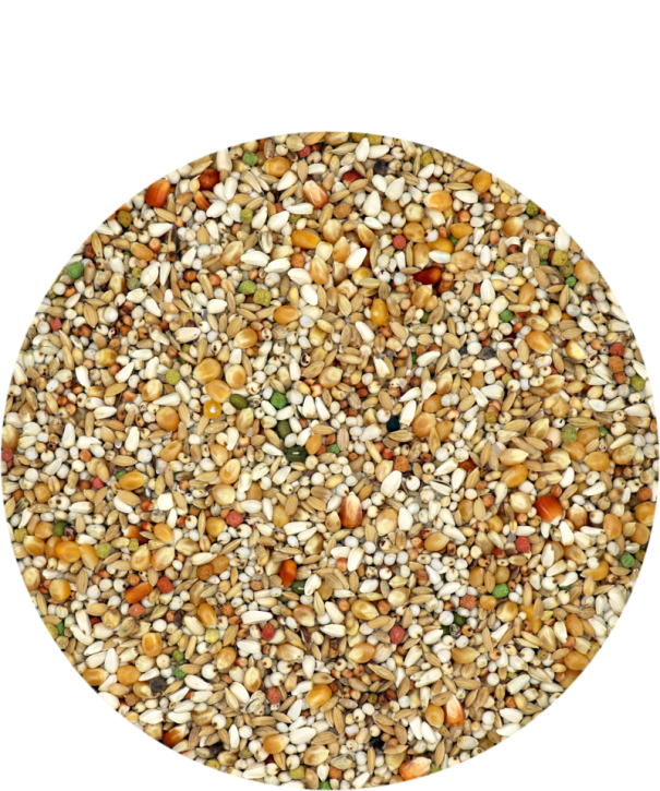 Versele-Laga Gerry Plus 22kg PROMO solange Vorrat!