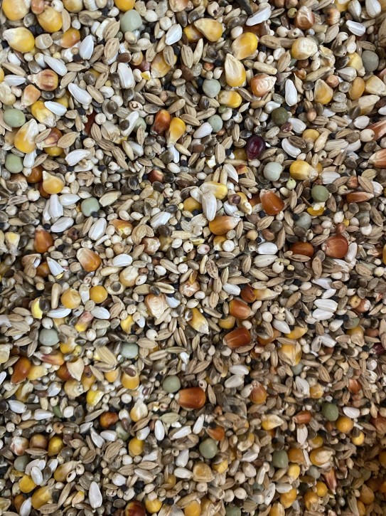 Sandeck Witwer Gold 25kg ohne Weizen! Sandeck Witwer Gold 25kg ohne Weizen!