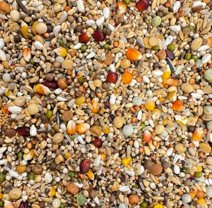 VANROBAEYS Zucht & Jungtauben Olympia Nr.900 NEU 22kg