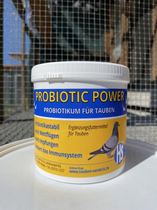 Sandeck Probiotic Power 500g NEU