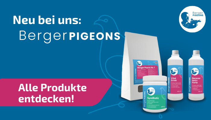 BergerPigeons