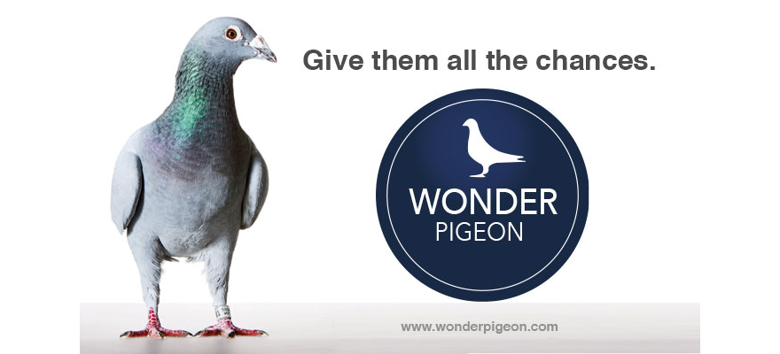 wonder