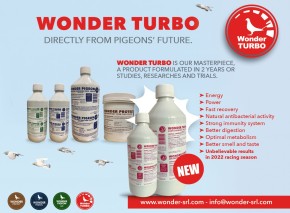 Wonder Pigeon TURBO 500ml NEU