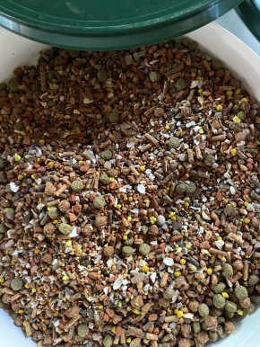 DHP Multi Variant 10L Mineral-Mix