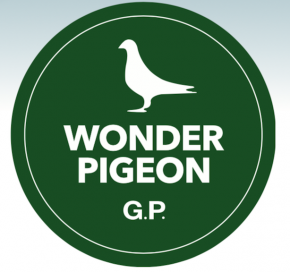 Wonder Pigeon "Green Power" 500ml