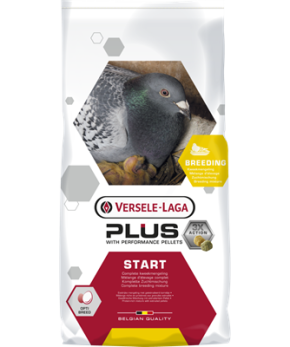 VERSELE-LAGA Start Plus I.C. 22kg (Zucht) PROMO