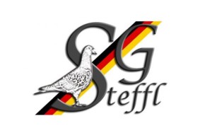 Meistertauben AM+ 1000ml (Steffl)