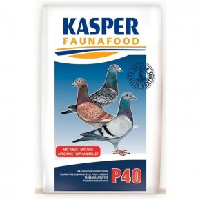 P 40 Taubenkraftfutter Kasper Faunafood 20kg PROMO