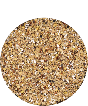 Versele Johannisbrot 20kg – Gesunder Snack Für Nager Mit Calcium & Phosphor